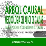 arbol causal