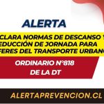 DT aclara normas de descanso y reducción de jornada para choferes del transporte urbano
