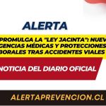 Chile promulga la “Ley Jacinta”: Nuevas exigencias médicas y protecciones laborales tras accidentes viales