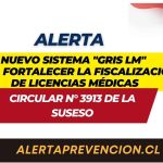 Nuevo sistema “GRIS LM” para fortalecer la fiscalización de licencias médicas