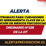Teletrabajo para Cuidadores como Herramienta Clave en la Prevención de Riesgos Psicosociales