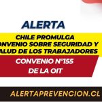 Chile promulga Convenio sobre Seguridad y Salud de los Trabajadores
