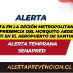 Alerta en la RM por presencia del mosquito Aedes Aegypti en el Aeropuerto de Santiago